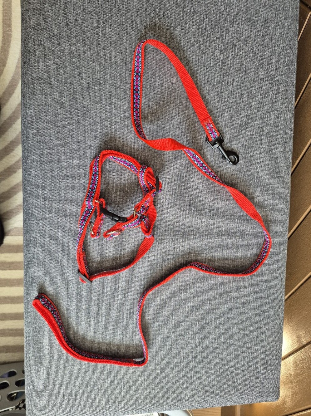 Red XS Harness and Leash Set with Patterned Trim